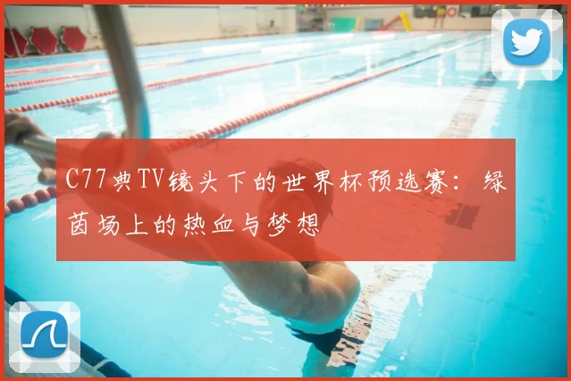 C77典TV镜头下的世界杯预选赛:绿茵场上的热血与梦想