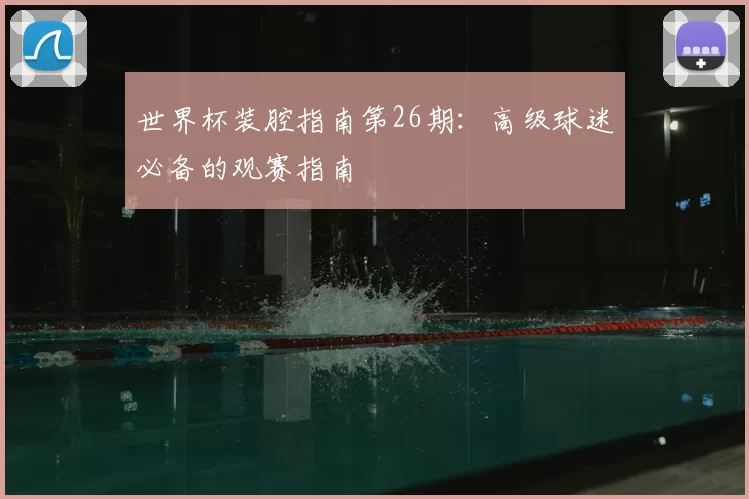 世界杯装腔指南第26期：高级球迷必备的观赛指南