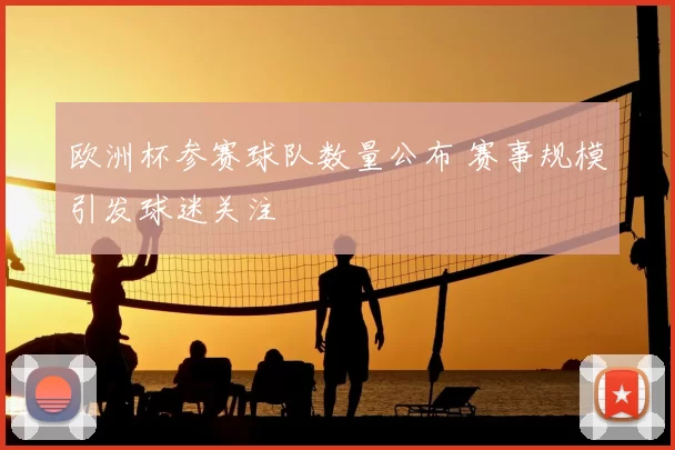 欧洲杯参赛球队数量公布 赛事规模引发球迷关注