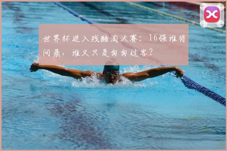 世界杯进入残酷淘汰赛：16强谁将问鼎，谁又只是匆匆过客？