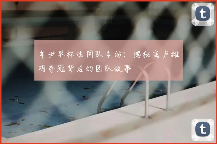 年世界杯法国队专访：揭秘高卢雄鸡夺冠背后的团队故事