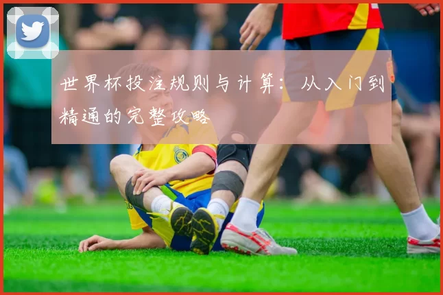 世界杯投注规则与计算：从入门到精通的完整攻略