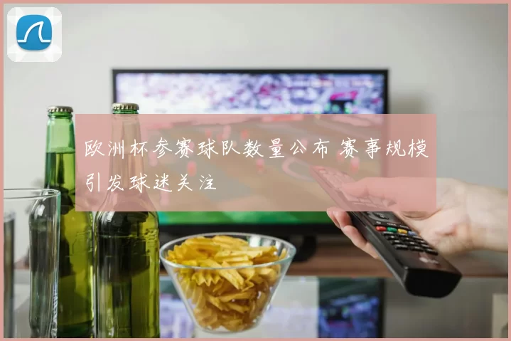 欧洲杯参赛球队数量公布 赛事规模引发球迷关注