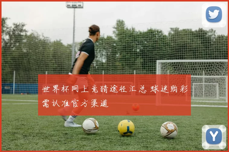 世界杯网上竞猜途径汇总 球迷购彩需认准官方渠道