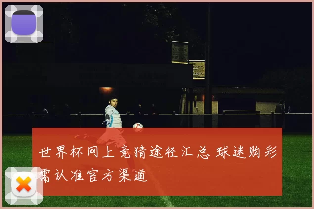 世界杯网上竞猜途径汇总 球迷购彩需认准官方渠道