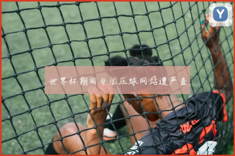 世界杯期间非法压球网站遭严查