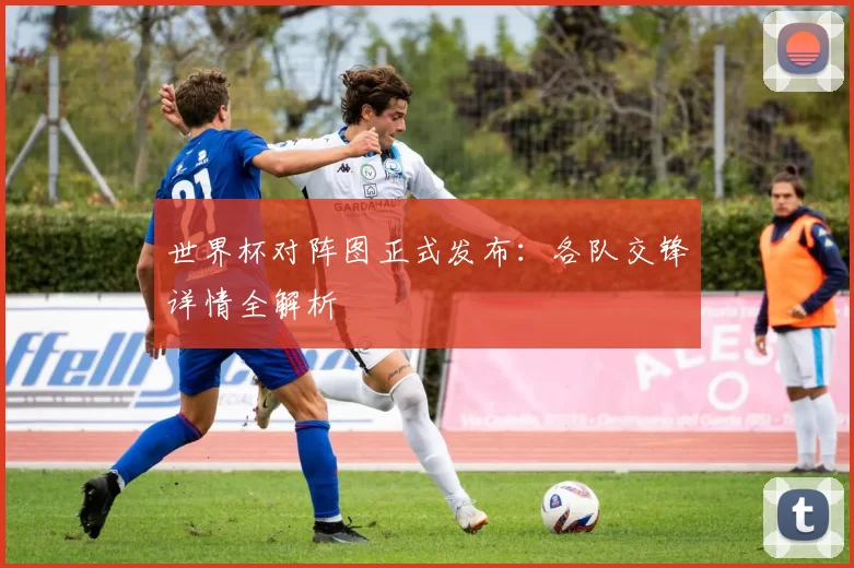 世界杯对阵图正式发布：各队交锋详情全解析