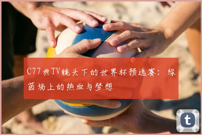 C77典TV镜头下的世界杯预选赛：绿茵场上的热血与梦想