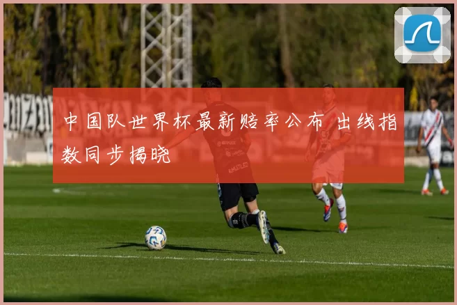 中国队世界杯最新赔率公布 出线指数同步揭晓