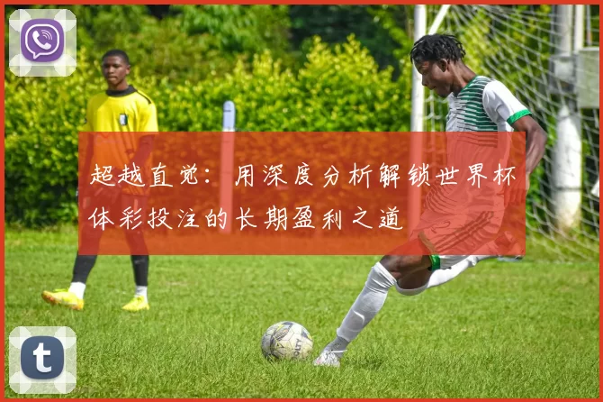 超越直觉:用深度分析解锁世界杯体彩投注的长期盈利之道
