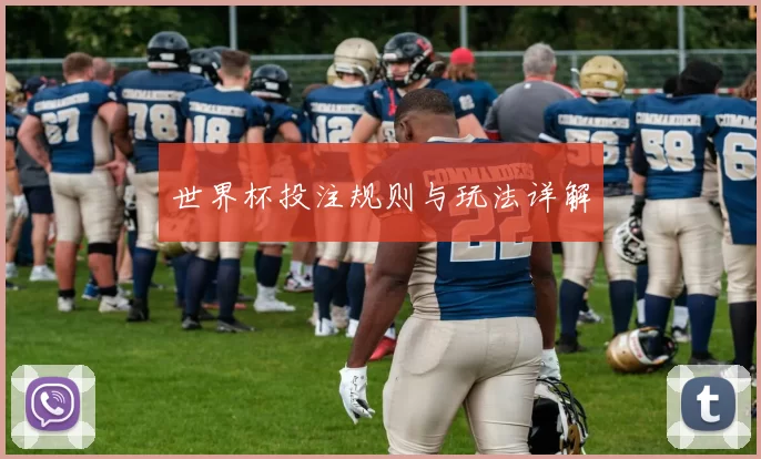 世界杯投注规则与玩法详解