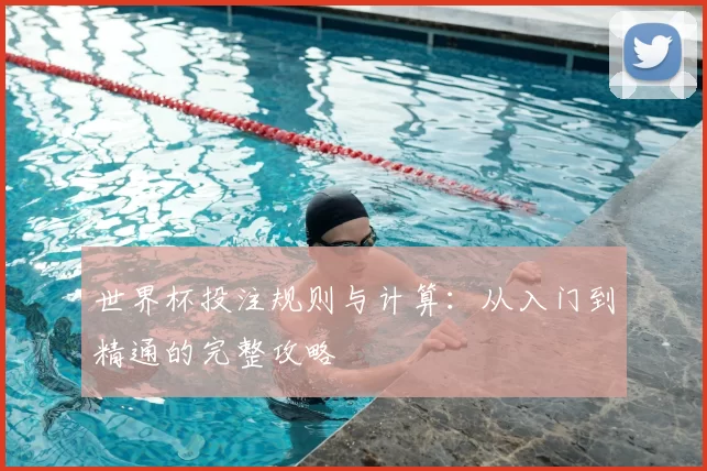 世界杯投注规则与计算:从入门到精通的完整攻略